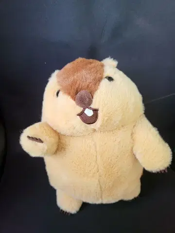 마모트의 모토토 인점보 아타로