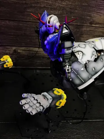 RG 1/144 기동전사 건담 지옹 그라데이션 전체 페인팅 완성품