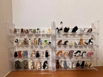 [ 총 59종 ] 동물 피규어 세트 [ 받침대 포함 ]