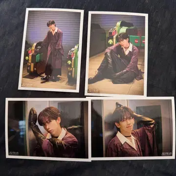 초특급 료가 NINE LIVES 브로마이드 B 세미 컴프