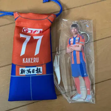 알비렉스 니가타 후나키 쇼 크리스마스 가라폰 B상