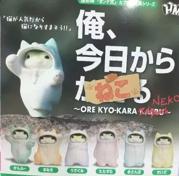 나, 오늘부터 고양이