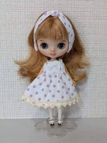 커스텀 미니 브라이스