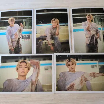 초특급 NINE LIVES 브로마이드 B 알로하 컴프 1