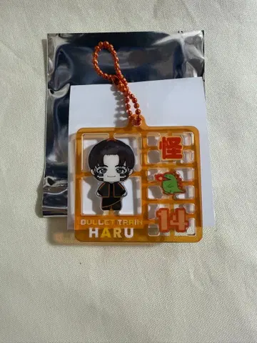 초특급 REAL? 플라스틱 랜덤 키링 하루