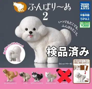 전 5종 후바리누 21