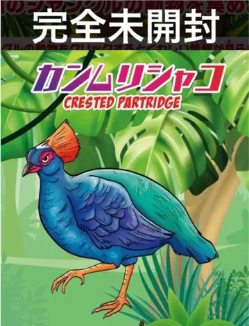 완전 미개봉 데아고스티니 정글&co. 바이컬러 댕기샤코