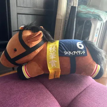 리버티 아일랜드 누워있는 초 BIG 봉제 인형 서러브레드 다이토 한정판