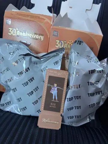TOP TOY 토이스토리 30주년 기념 피규어