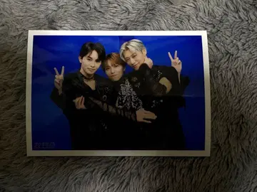 초특급 NINE LIVES REAL? 브로마이드 A 단체