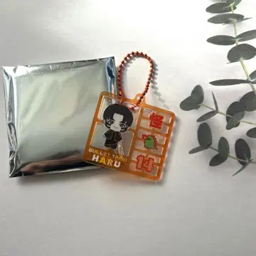 초특급 REAL? 플라스틱 모델풍 키링 하루