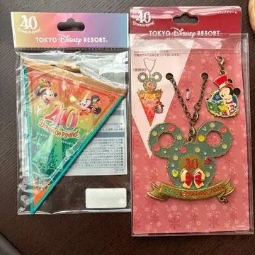 디즈니 백참 40주년 크리스마스