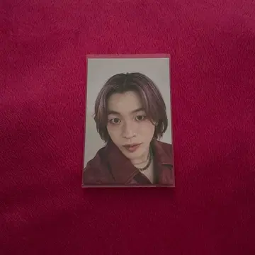 야마모토 쇼고 트레이딩 카드