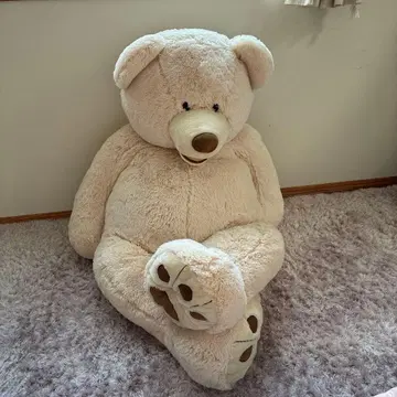 코스트코 곰 봉제 인형