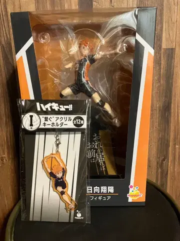 Happy 복권 하이큐 히나타 쇼요 피규어 아크릴 키링 세트