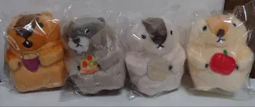 마모트의 모토토 푸치부루 마스코트 4종 컴플리트 세트