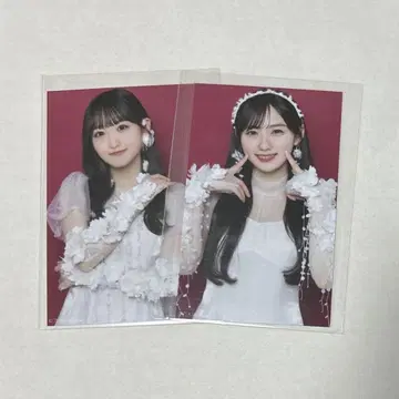 노기자카46 보도교 미니 브로마이드 사쿠미쿠