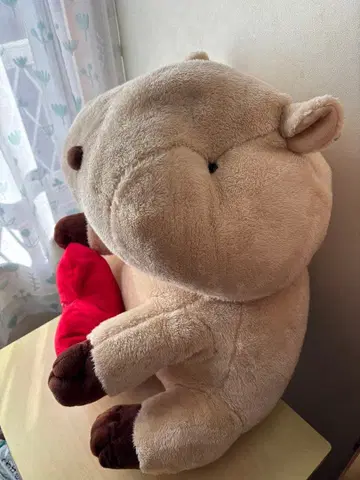 아쿠아토도 기후 A상 카피바라 봉제 인형