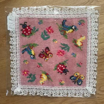 페이러 하이디 친자와 레이스