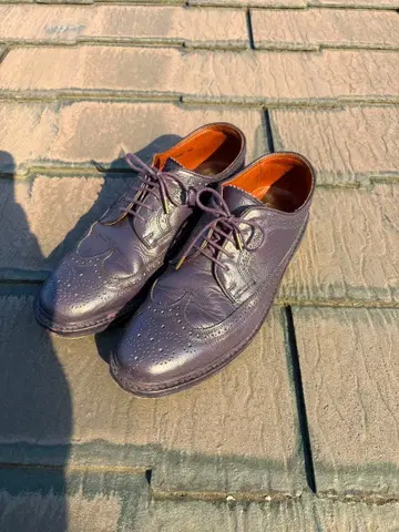 FLORSHEIM 대키 브라운 플럼 퍼플