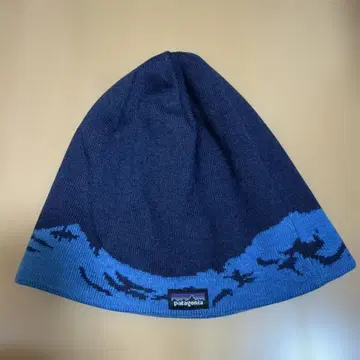 patagonia 리버서블 니트 모자