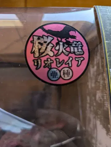 몬스터 헌터 리오레이아 아종 크리에이터즈 모델 피규어