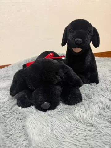 블랙 강아지 봉제 인형 2개 세트