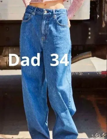 시시쿠이 dad 34
