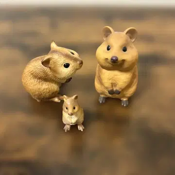 테노리 프렌즈 쿼카 왈라비 + 다른 제조사 두 마리 중고