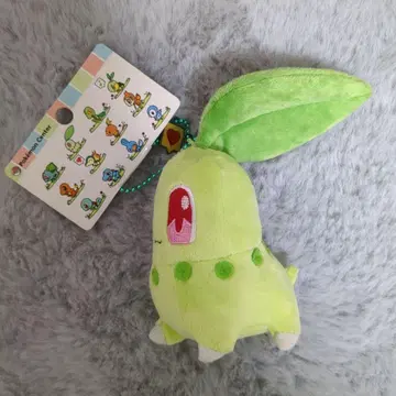 포켓몬 센터 한정판 치코리타 2010년