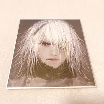 니어전 NieR 15th 지울 수 없는 기록 색지