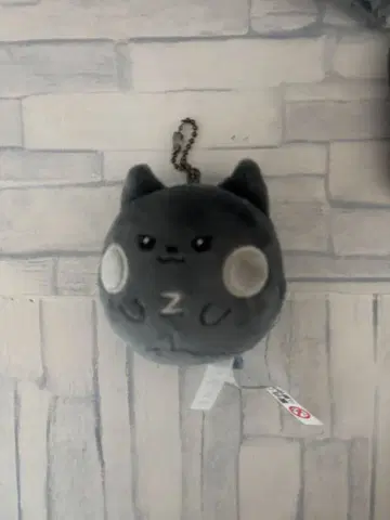 ZB1 제베원 zeroni 운니니 복슬복슬 페이스 키링