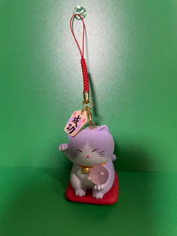 기원 부적 고양이