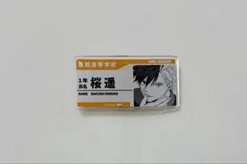 사쿠라 하루카 네임