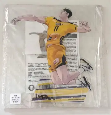 하이큐 우시지마 와카토시 v리그 아크릴 MEGA 피규어