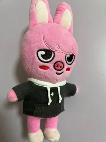 Stray Kids 스키즈 SKZOO 오리지널 창빈 돼끼