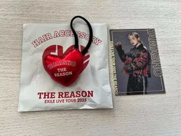 야마모토 쇼고 머리끈 & 포토 카드 세트