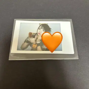 코구마 마무 란체키 카드놀이 의상 iLife!