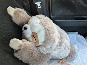 KUTTARI 나무늘보 봉제 인형 빅