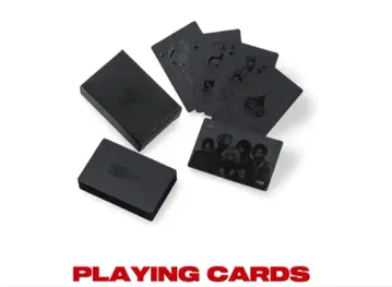 the GazettE 20th Anniversary HERESY 카드놀이