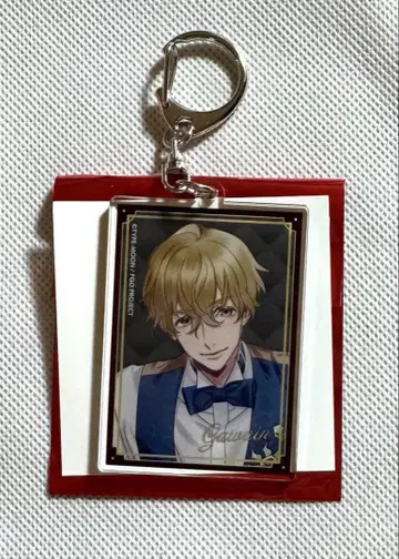 FGO HUB 아크릴 키링 아크키 가웨인