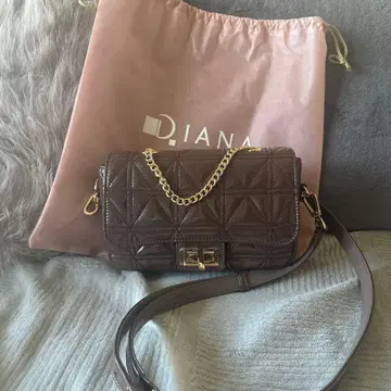 미사용 새상품 DIANA 숄더백