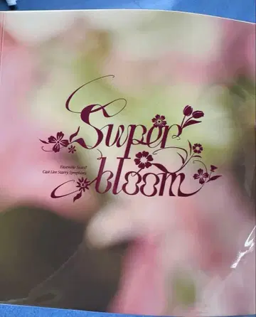 스타포니 4th 입장 혜택 팜플렛