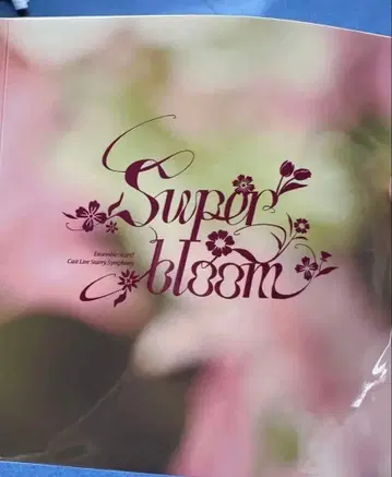 Starry Symphony 4th 입장 특전 팜플렛 스타포니