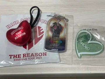 이와타니 쇼고 THE REASON