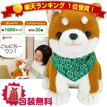 시바견 봉제 인형 시바견 코타 시바견 코타 말하는 강아지 로봇 봉제 인형