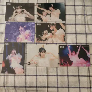 FRUITS ZIPPER 칭제 스즈카 브로마이드 세트