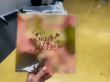 앙스타 스타포니 팜플렛 혜택