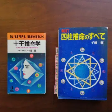 십간추명학 & 신정 사주명리학의 모든 것 2권 세트