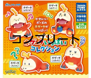 포켓몬 뜨아거(호게타) 가득 컬렉션